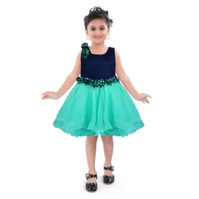 Baby Girls Party Wear Frock Dress Fr1006sg