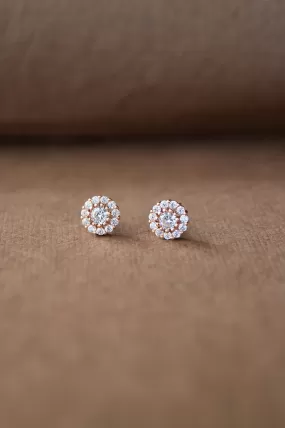 Dazzling Flower Rose Gold Plated Sterling Silver Earrings