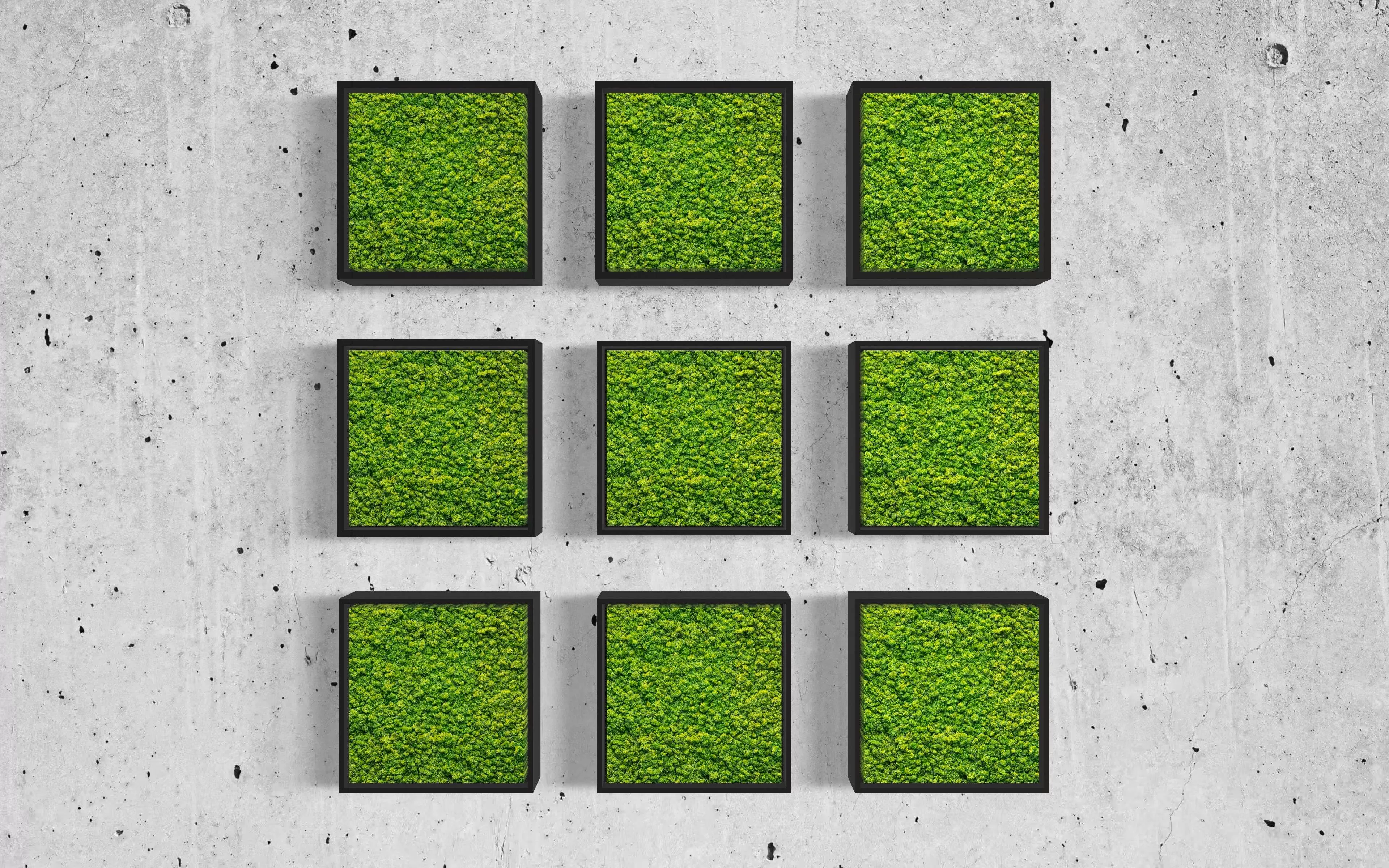 Mosaic Moss Art Sets